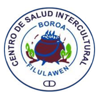 Centro de Salud Boroa Filulawen